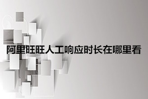 阿里旺旺人工響應時長在哪里看